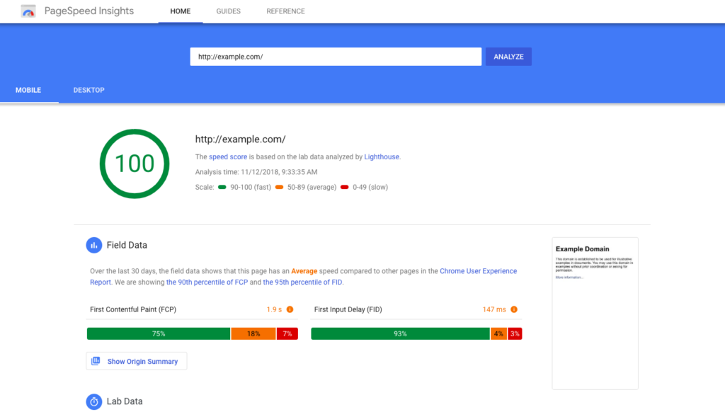 google pagespeed insights screen shot